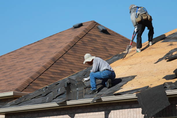 Best Roof Leak Repair  in Taft, CA